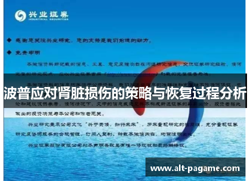波普应对肾脏损伤的策略与恢复过程分析