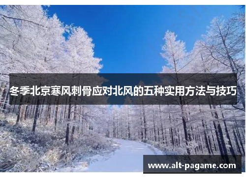 冬季北京寒风刺骨应对北风的五种实用方法与技巧