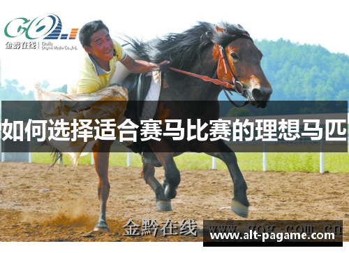 如何选择适合赛马比赛的理想马匹