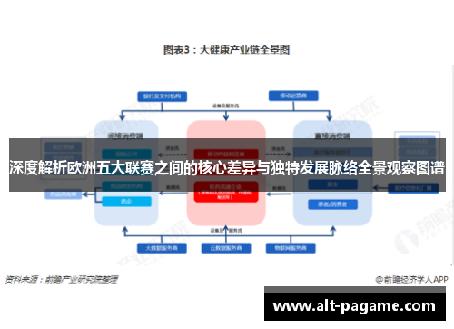 深度解析欧洲五大联赛之间的核心差异与独特发展脉络全景观察图谱