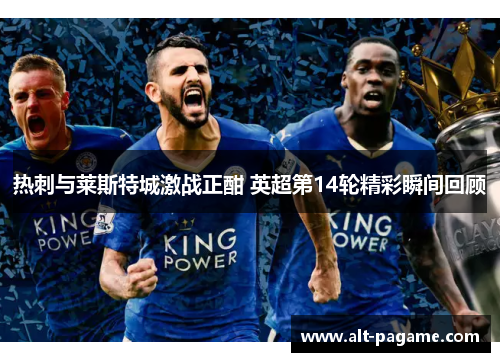 热刺与莱斯特城激战正酣 英超第14轮精彩瞬间回顾