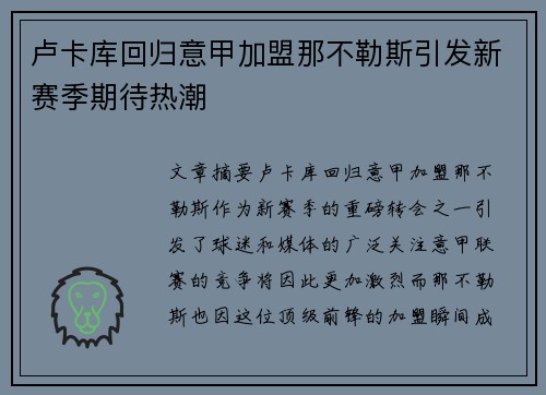 卢卡库回归意甲加盟那不勒斯引发新赛季期待热潮