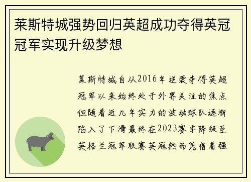 莱斯特城强势回归英超成功夺得英冠冠军实现升级梦想