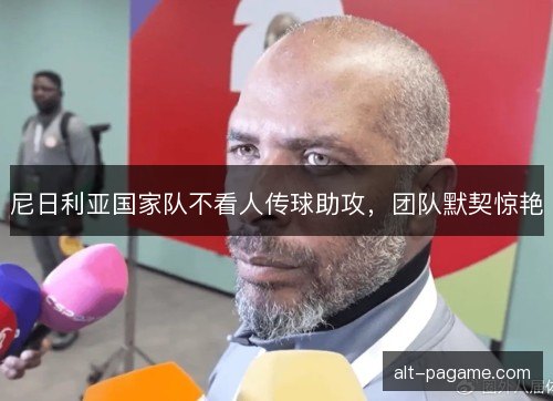 尼日利亚国家队不看人传球助攻，团队默契惊艳